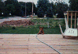 gregory042.gif