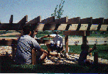 gregory044.gif